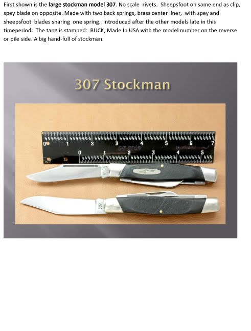 More-Buck-300-Information2.jpg