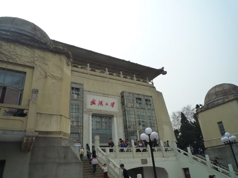P1050201.jpg