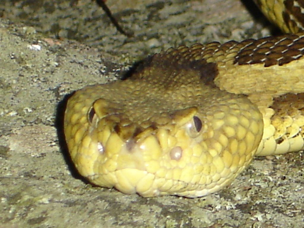 DSC02601_zps2ft0faoh.jpg