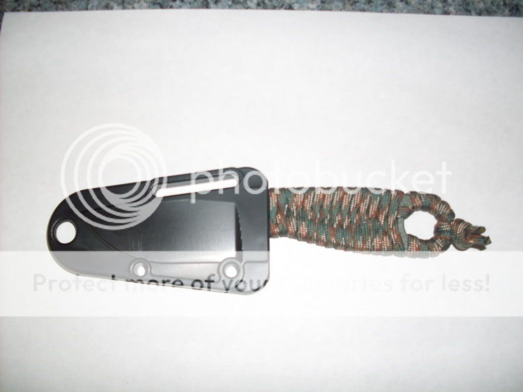 SDC11162.jpg
