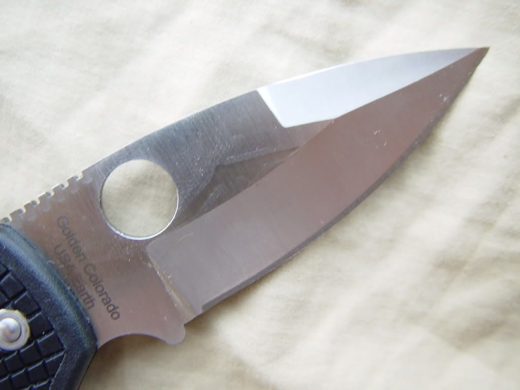 DSC06512.jpg