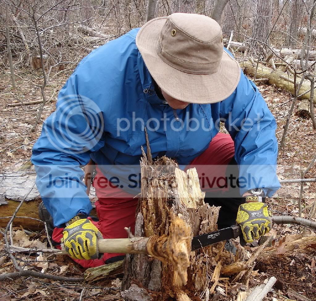 choppingfatwood.jpg