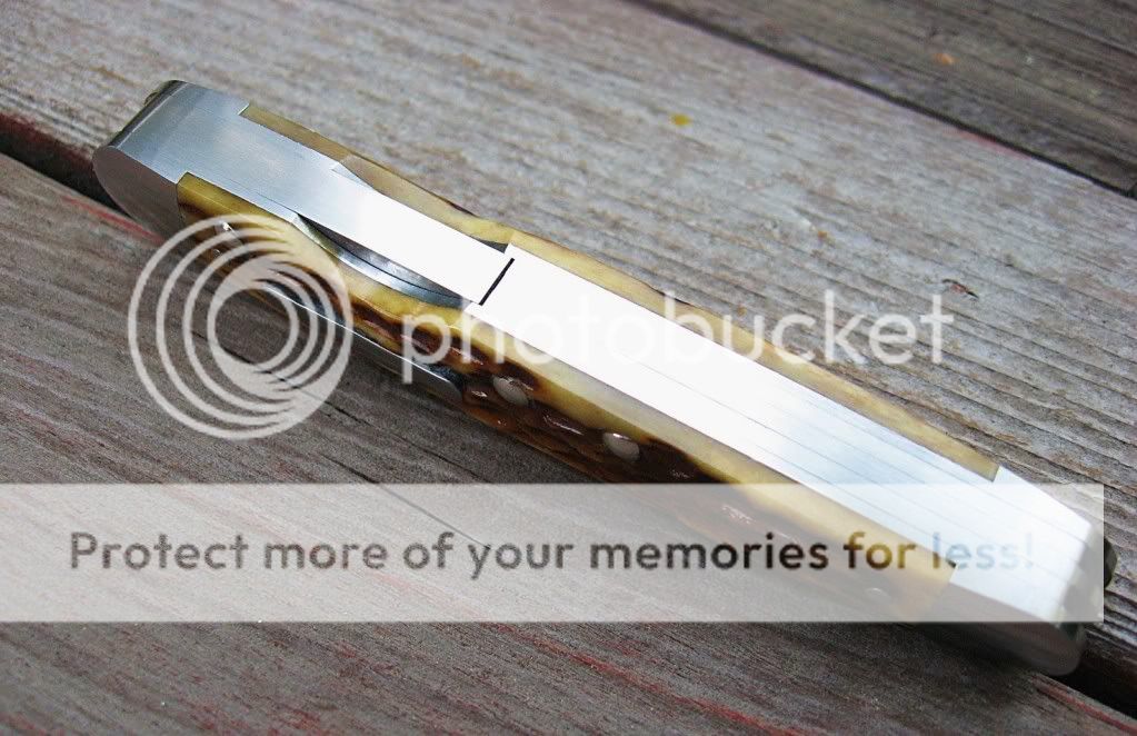 CaseBoseLockbackWhittler08.jpg