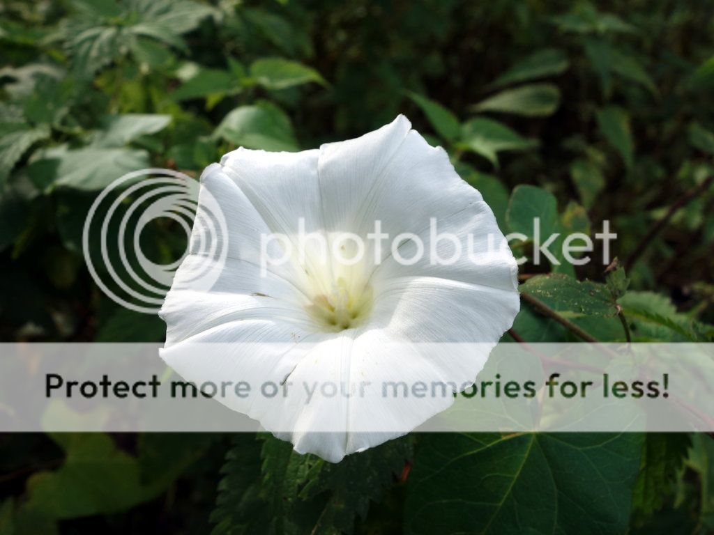 Bicycle_Tour_08_small_zpsfd4ba592.jpg