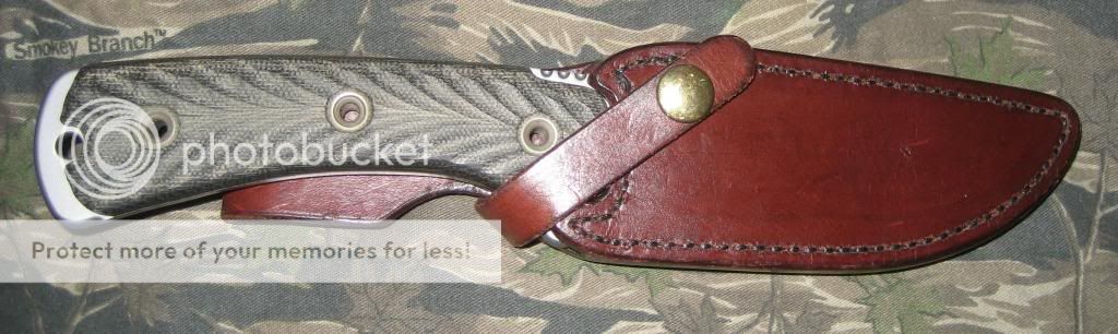 2_zps142d6661.jpg