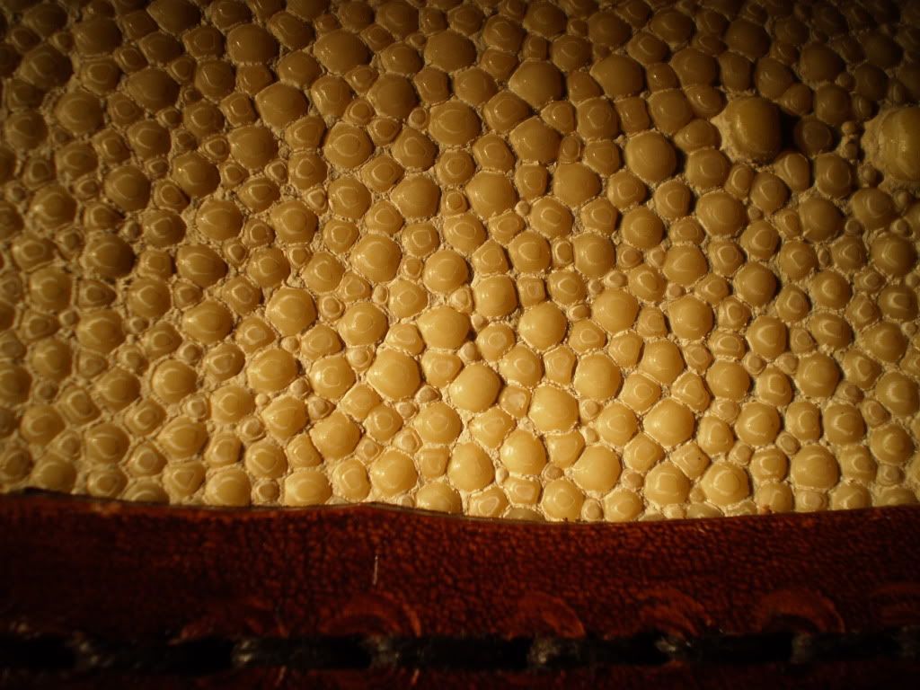 P5160008.jpg
