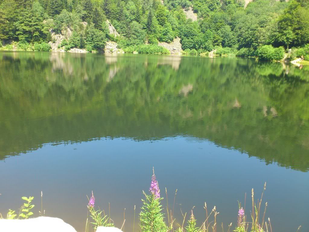 DSC_0680.jpg