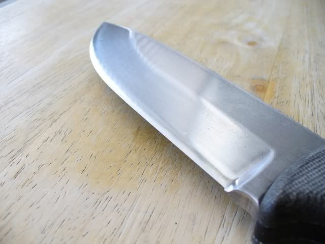 P1050261.jpg