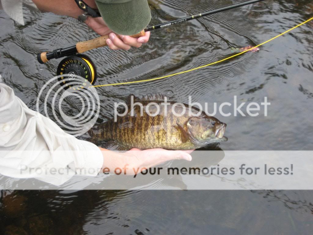 Fishpix64.jpg