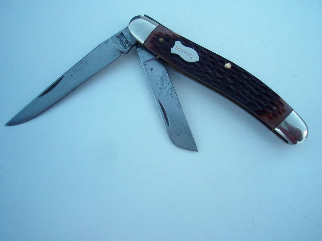 893003.jpg