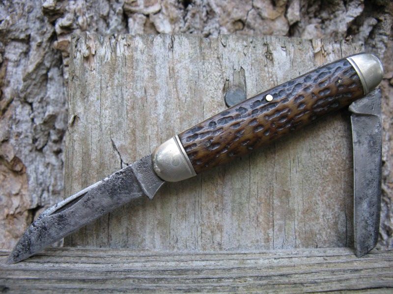 CamillusEENov8b.jpg