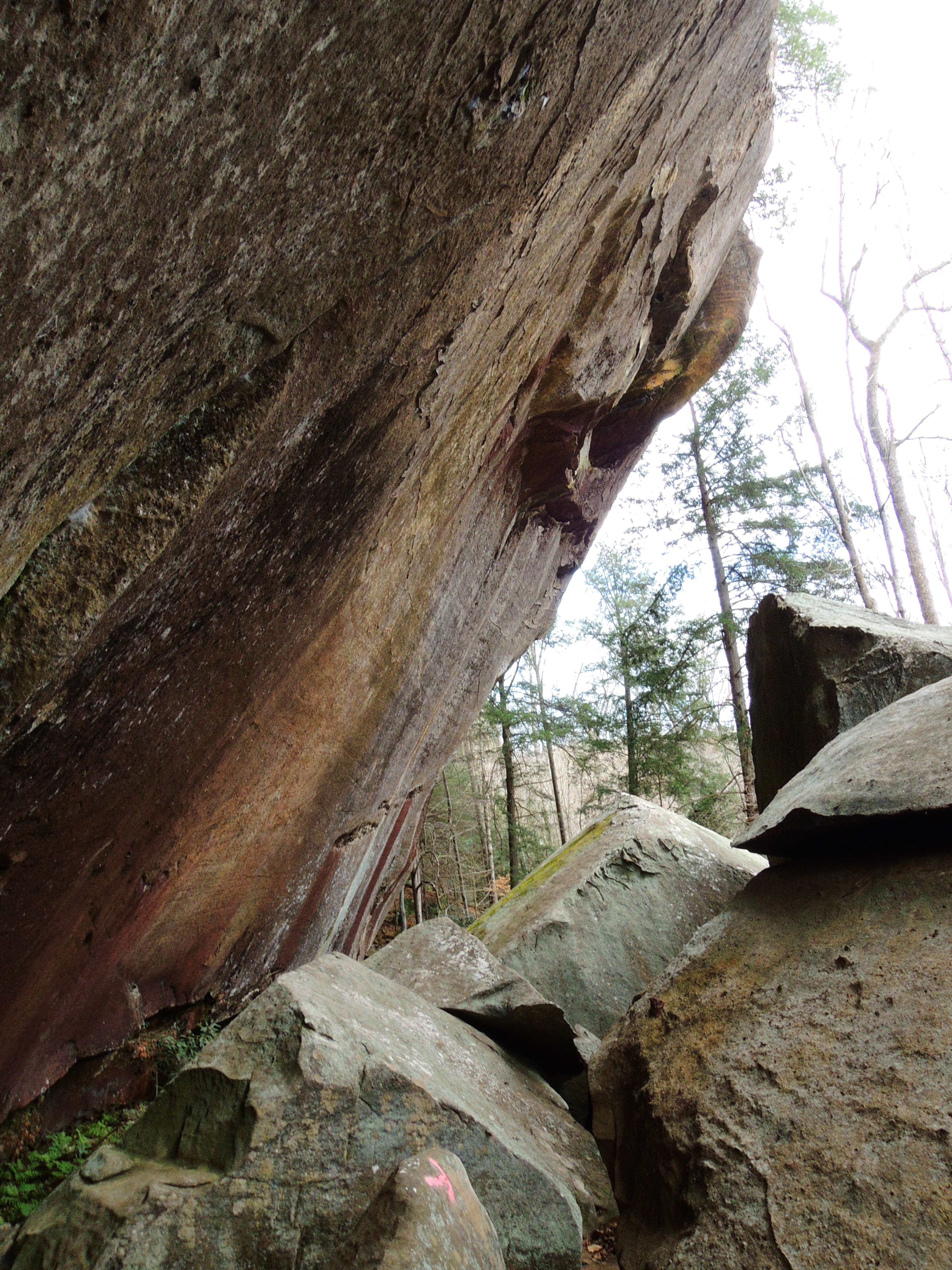 dscn4913f.jpg