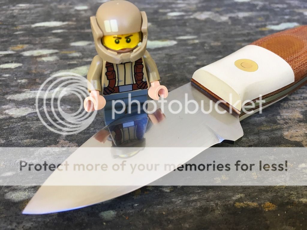 IMG_8181_zpsfwmqibdw.jpg