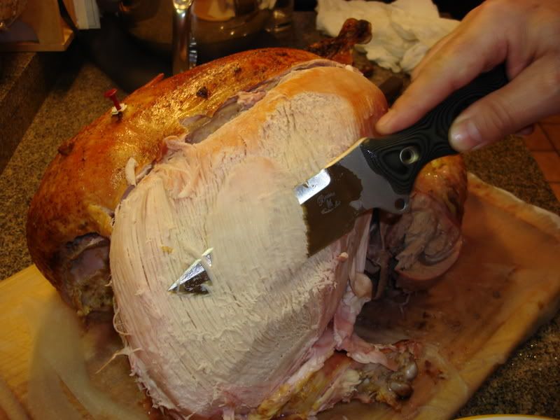 NuclearTurkey011.jpg