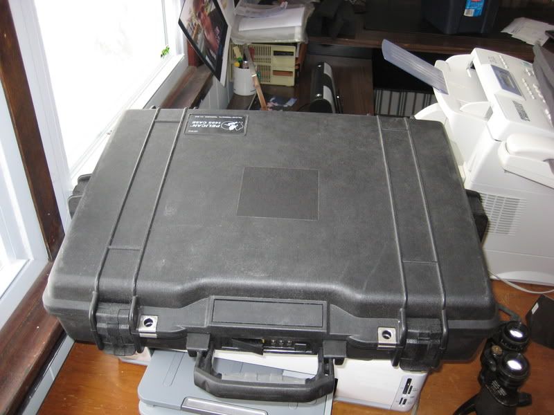 pelican1495001.jpg