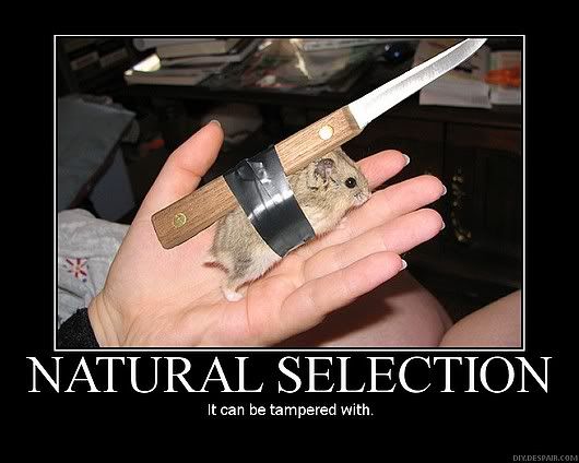 Selection.jpg