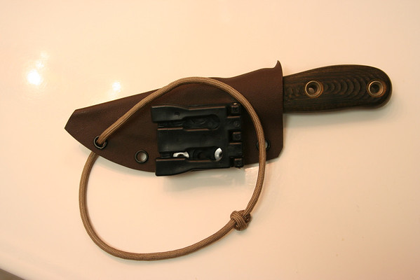 Busse-052-M.jpg