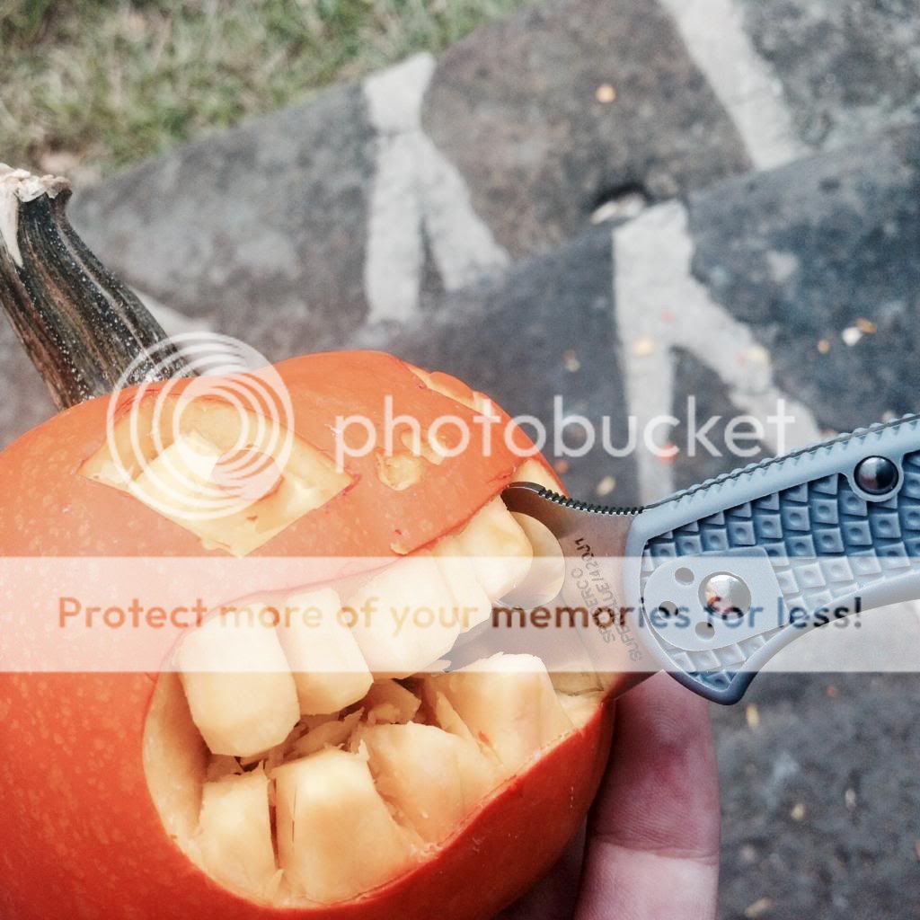 image_zpsf4f7ff75.jpg