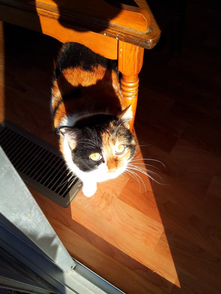 20120212_153443.jpg