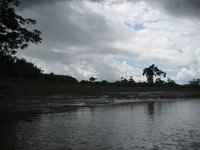 IMG_3599.jpg