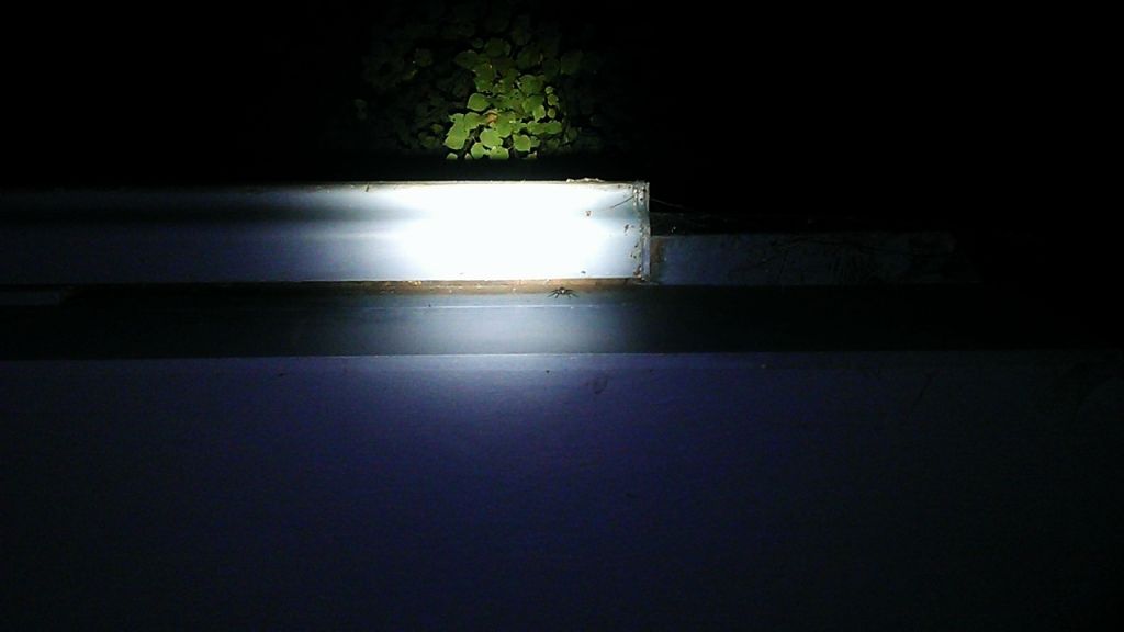 C360_2012-08-12-21-15-39.jpg