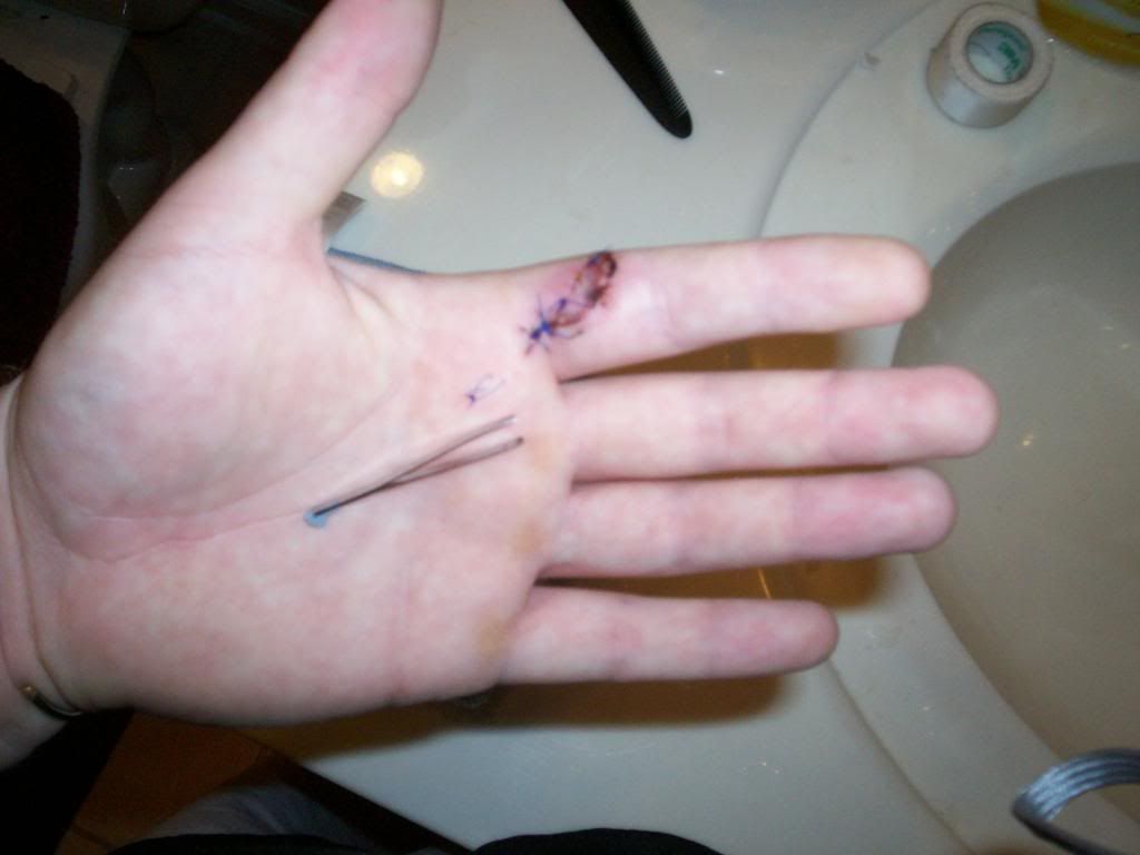 Stitches004.jpg