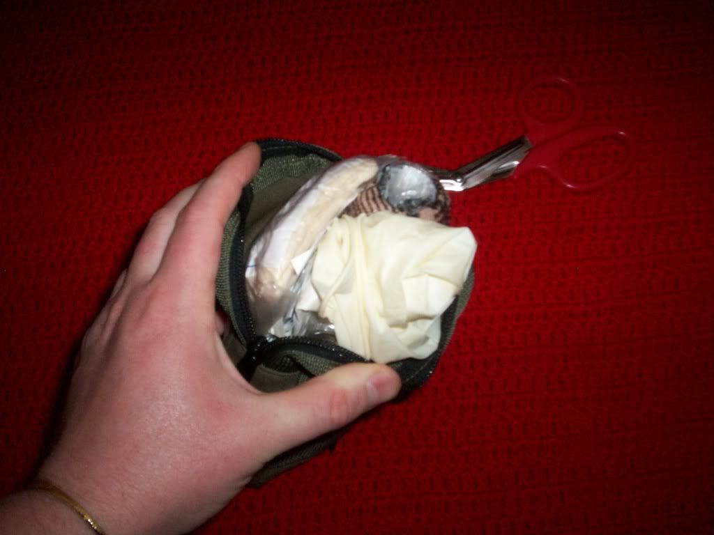 4309050.jpg