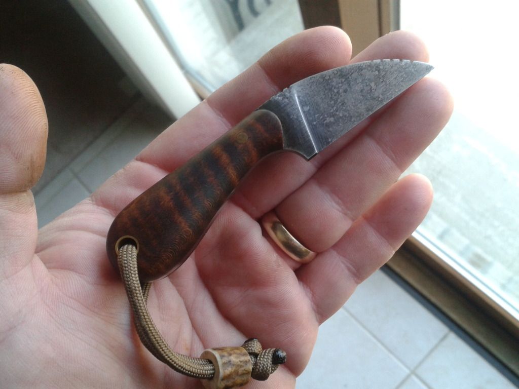 2012-07-08115157.jpg