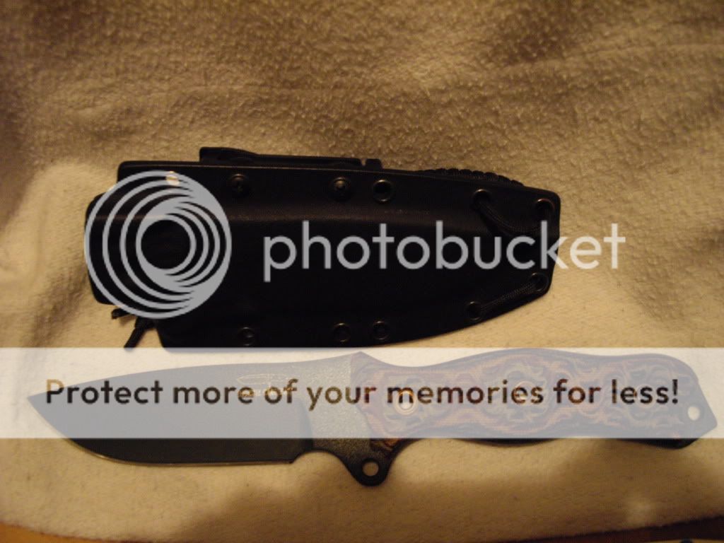 IMGP1206.jpg