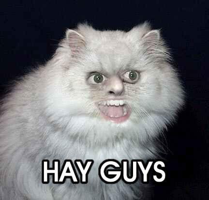 HAY_GUYS.jpg