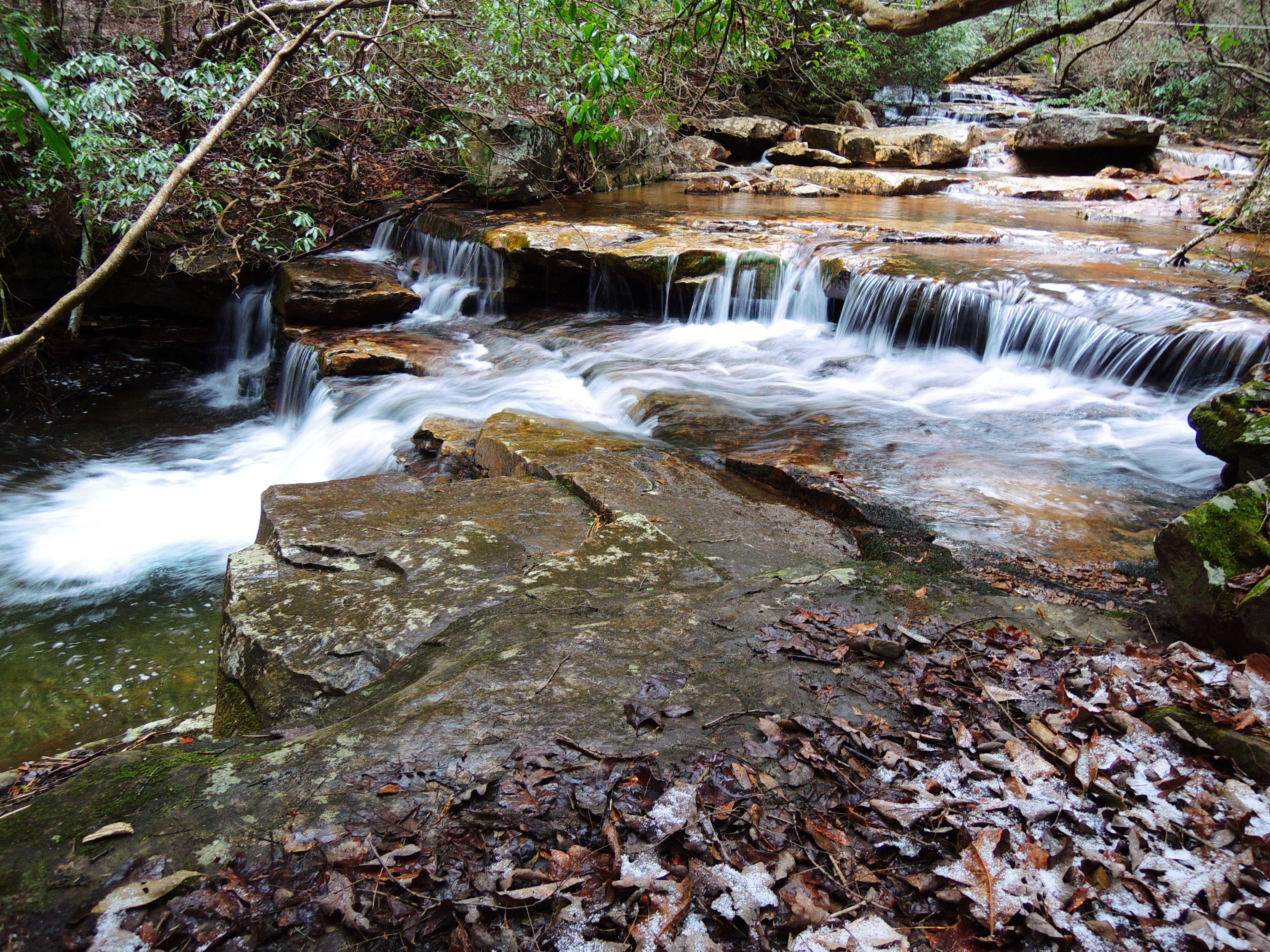 dscn8028.jpg