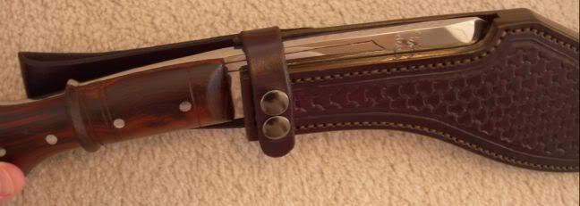 HIsheath004.jpg
