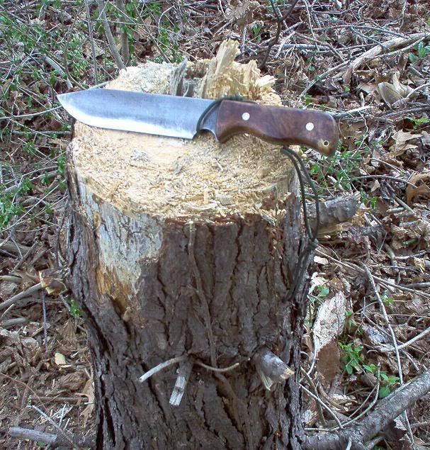 chop2.jpg