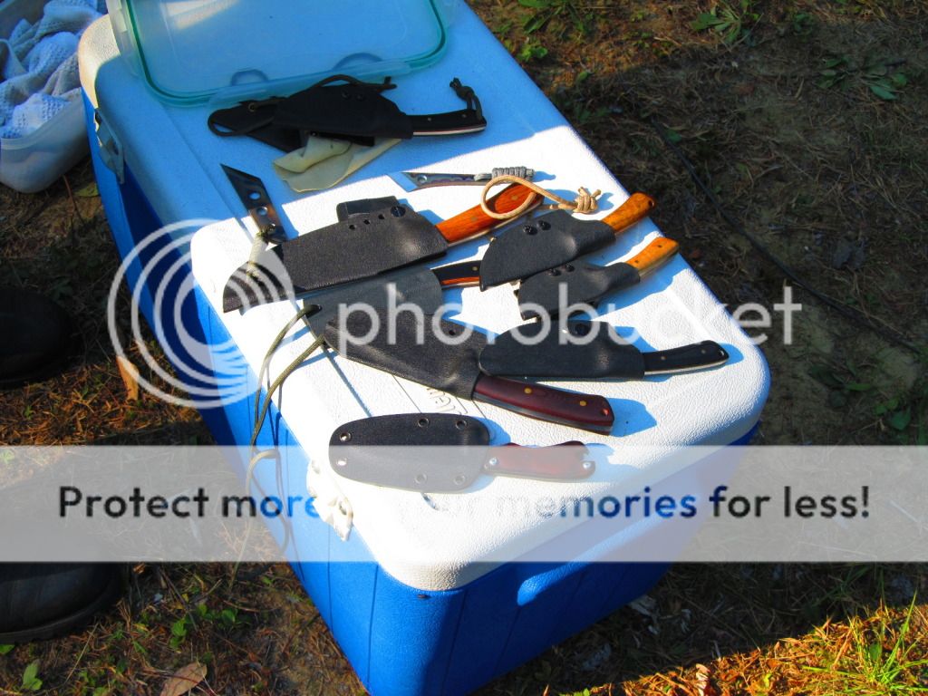 IMG_1481_zpse2b7a1a9.jpg