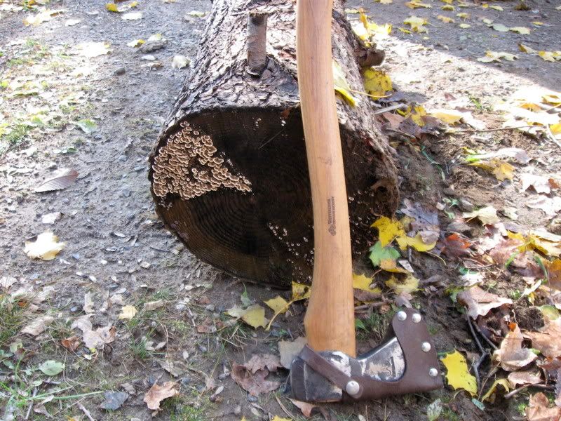 chop1.jpg