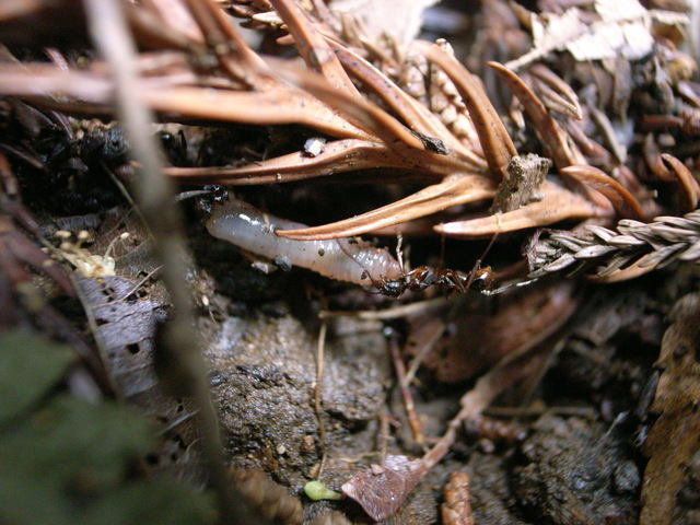 2011.05.30.R0024039.JPG