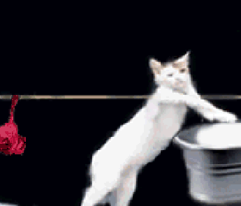 176DDTv.gif