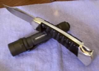 buck4.jpg