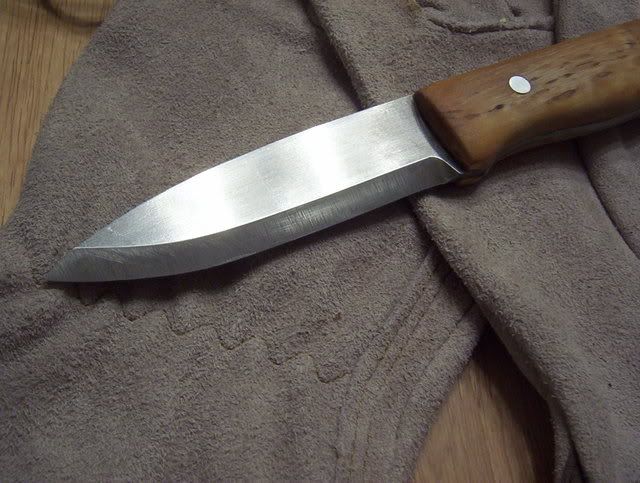 shingforsale007.jpg