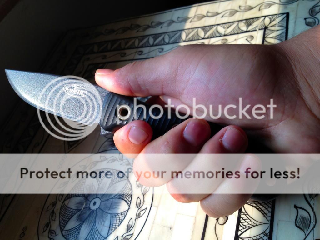 IMG_1007_zps75d2b83b.jpg