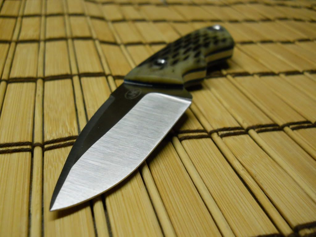 MiniDropPointXLMod8.jpg
