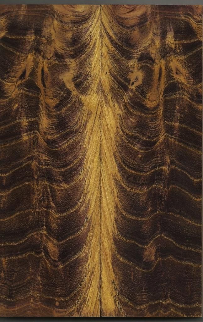 Scan0042.jpg