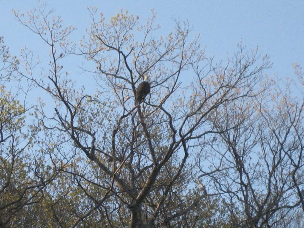 IMG_8183.jpg