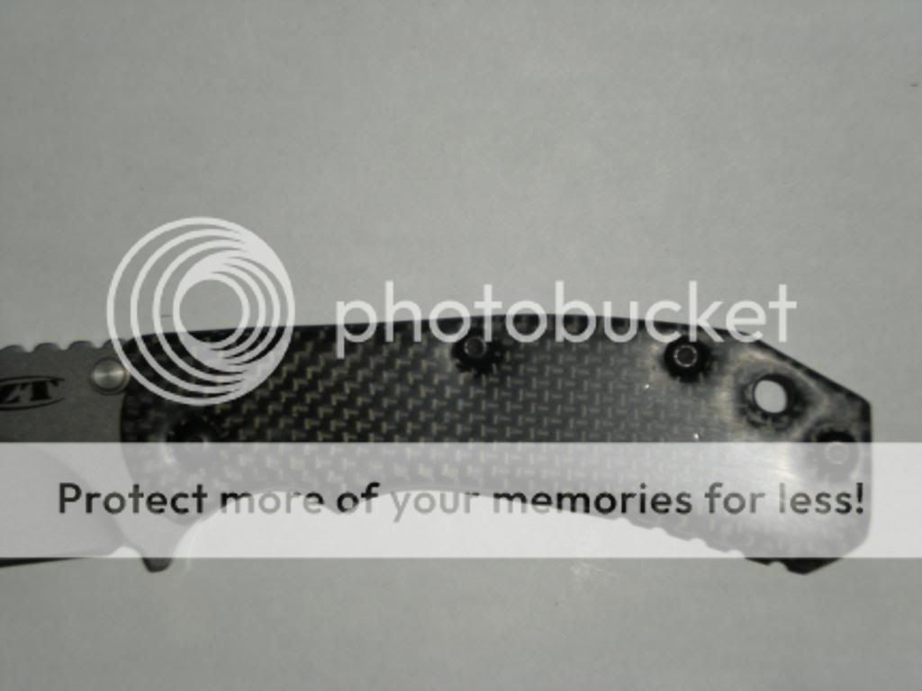 DSCN3848.jpg