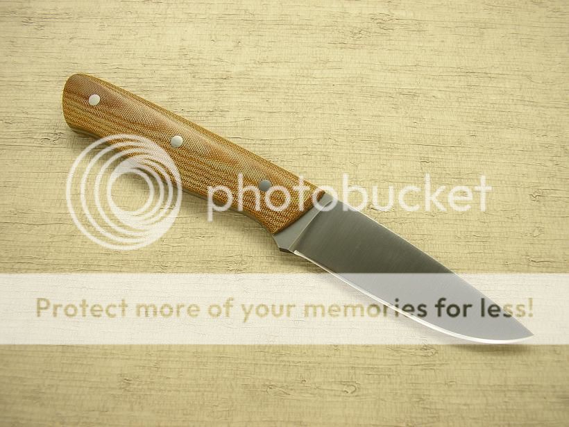 IMGP2086_zpsb0fdad79.jpg
