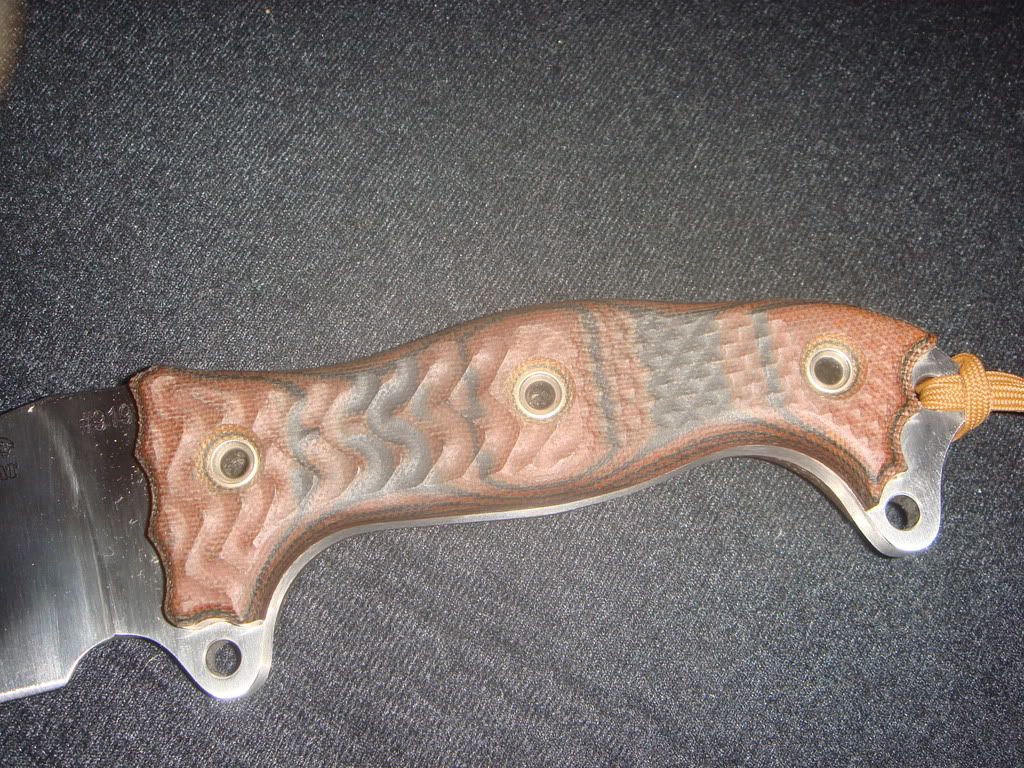 DSC00476.jpg