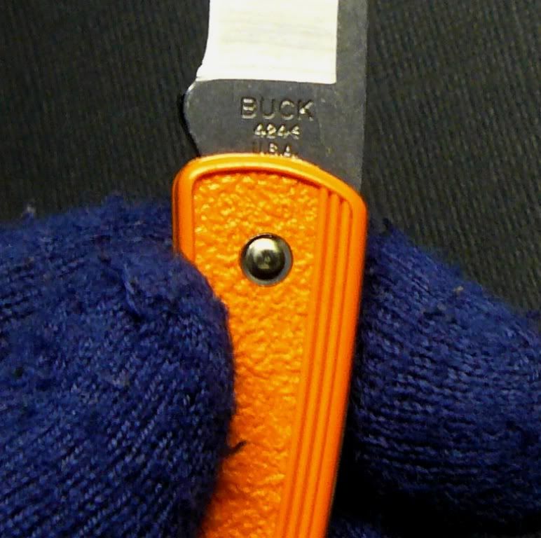 0424ORS-BBuckliteorange42401-09-2012010.jpg