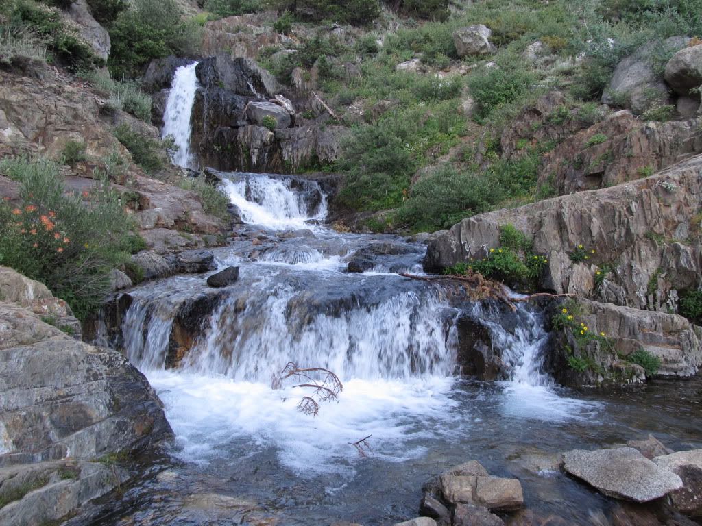 IMG_0397.jpg