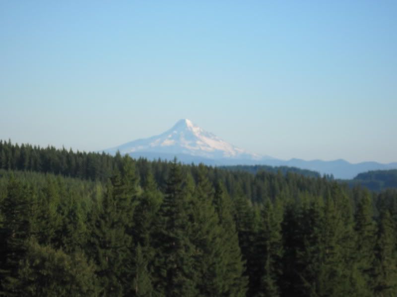 IMG_2467.jpg