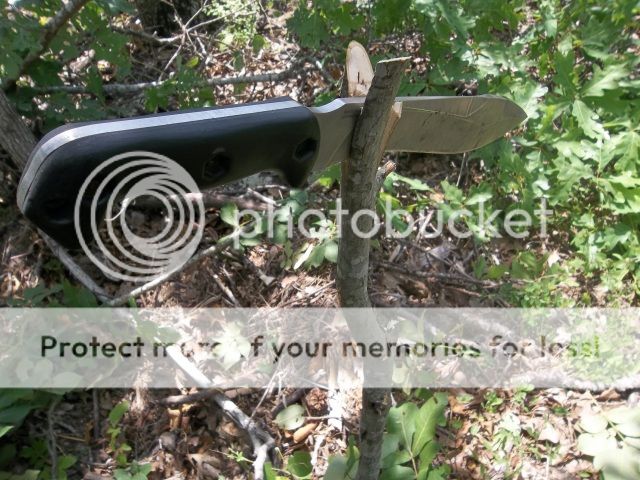 100_3553.jpg